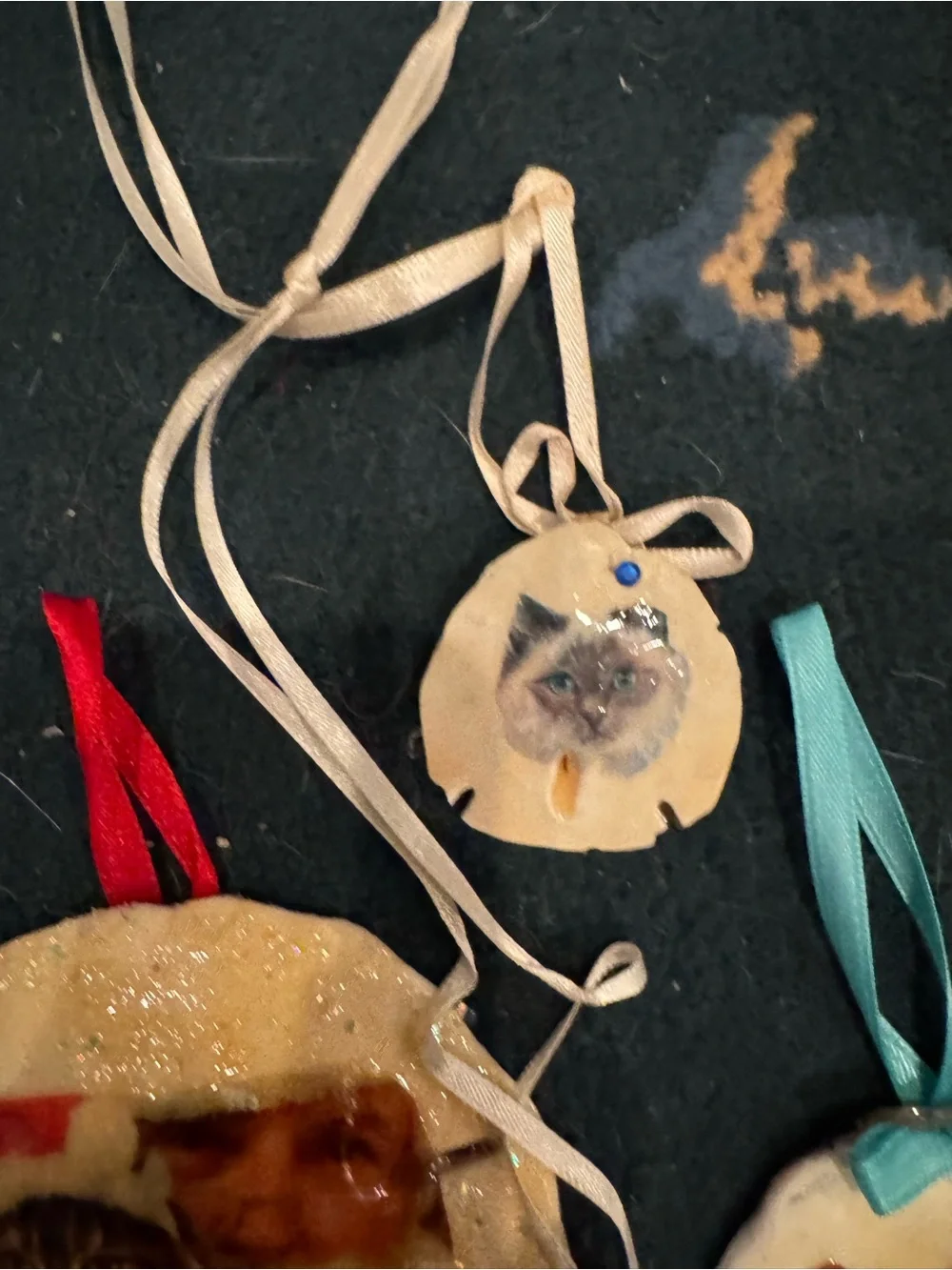 Handmade Cat Photo Ornaments sand dollars real shell- Assorted Cream, White, Tan